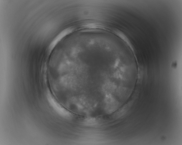 X0000114171098200910151631