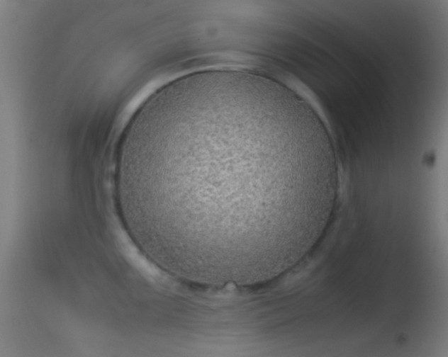 X0000114171099200910151631