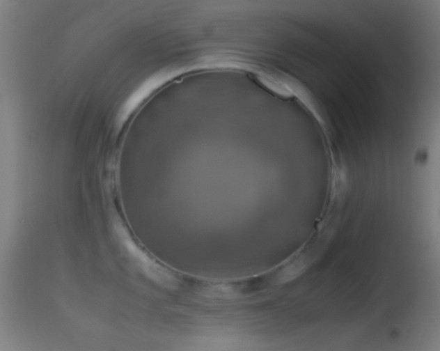 X0000114171101200910151631