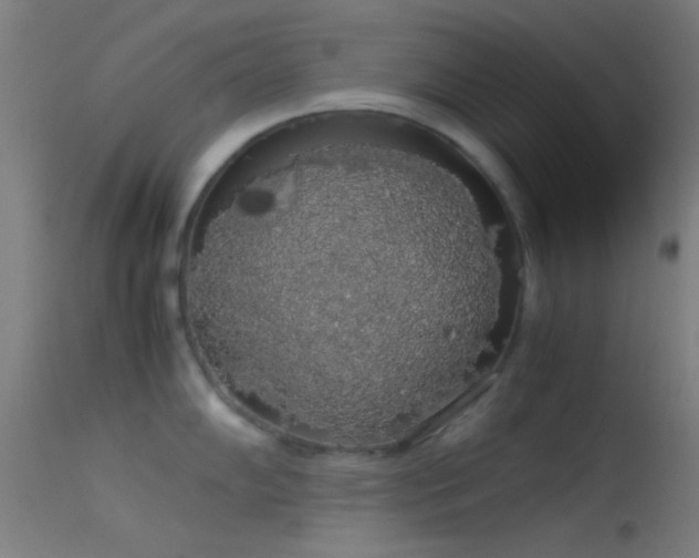X0000114171102200910151631