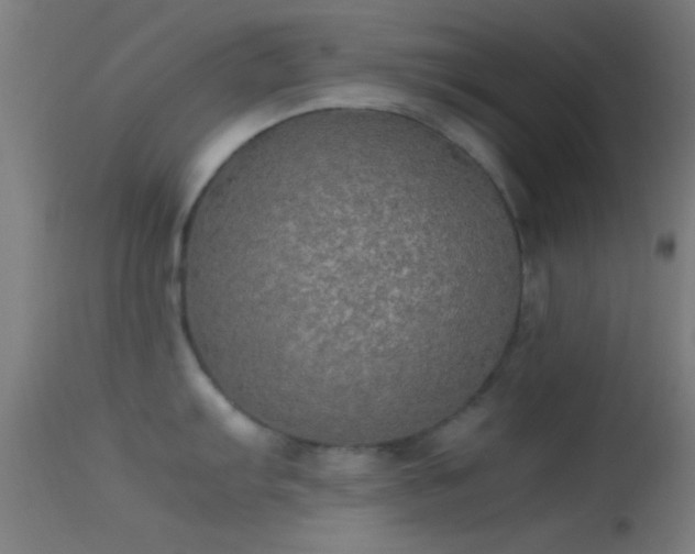 X0000114171103200910151631
