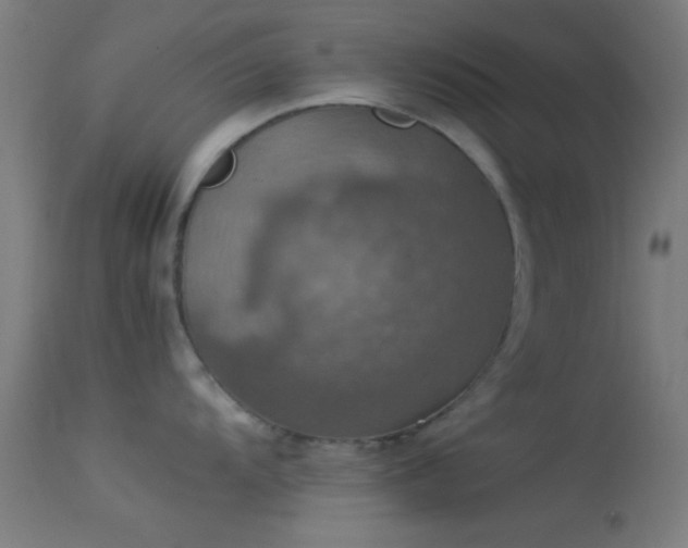 X0000114171104200910151631