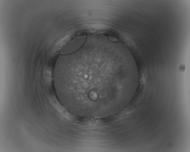 X0000114171108200910151631