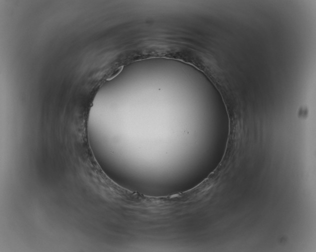 X0000114171109200910151631