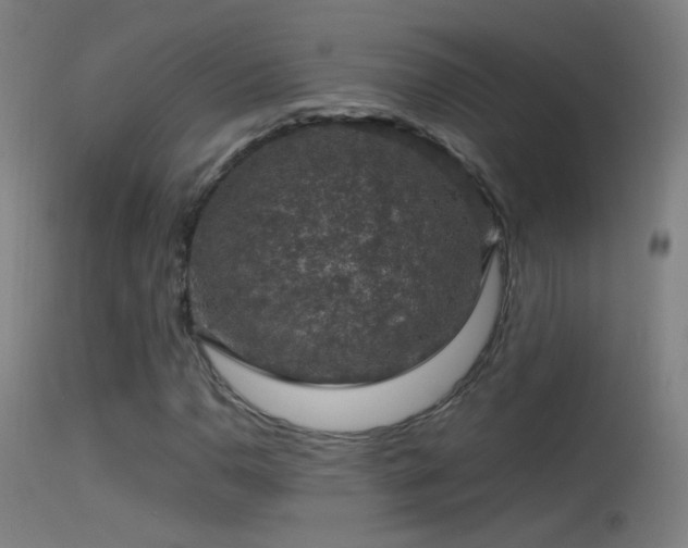 X0000114171110200910151631
