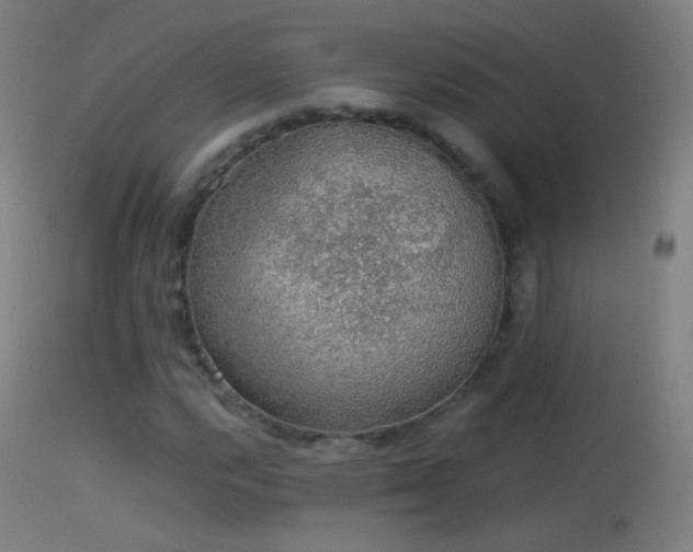X0000114171112200910151631