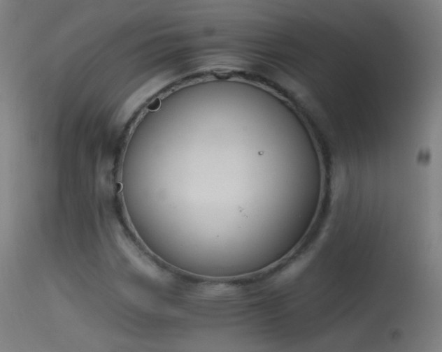 X0000114171113200910151631