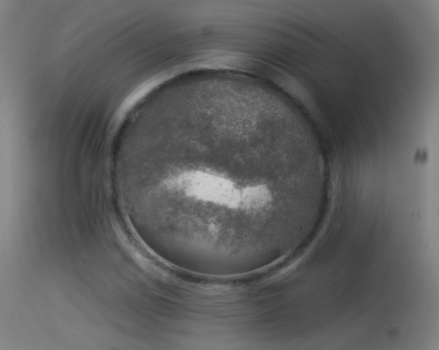 X0000114171114200910151631