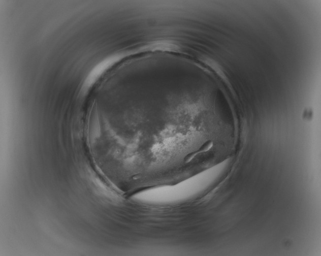 X0000114171115200910151631