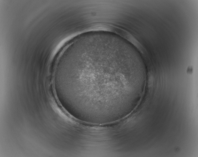 X0000114171116200910151631