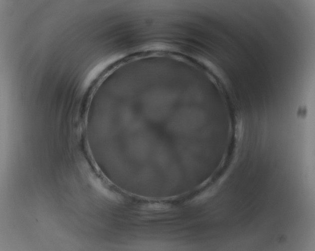 X0000114171117200910151631