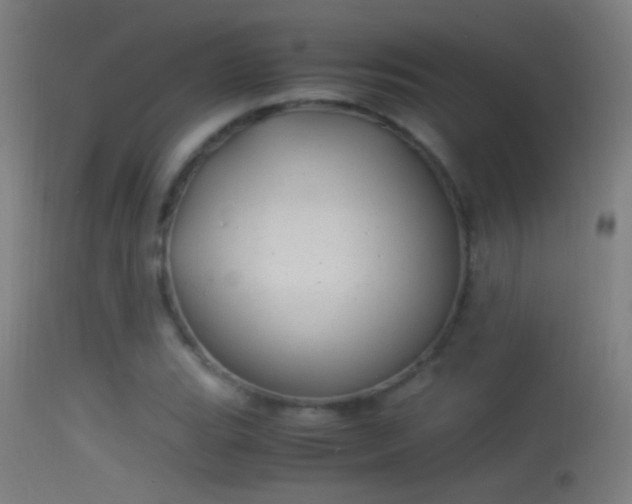 X0000114171119200910151631
