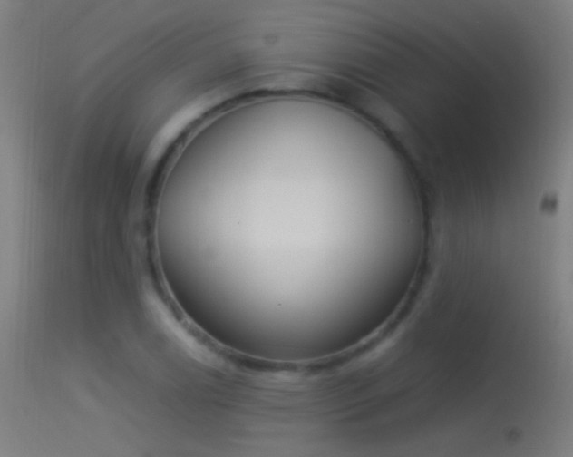 X0000114171122200910151631