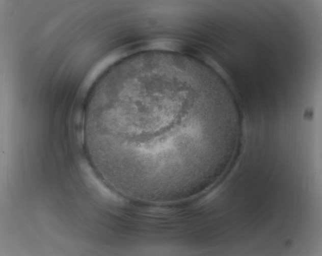 X0000114171123200910151631
