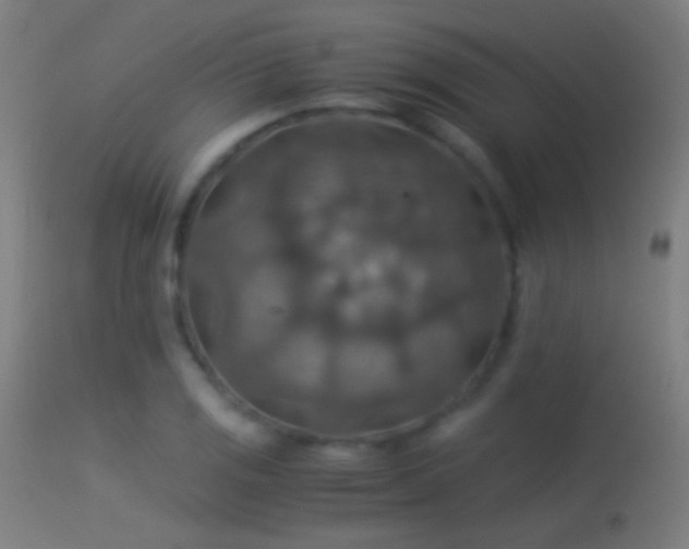 X0000114171125200910151631