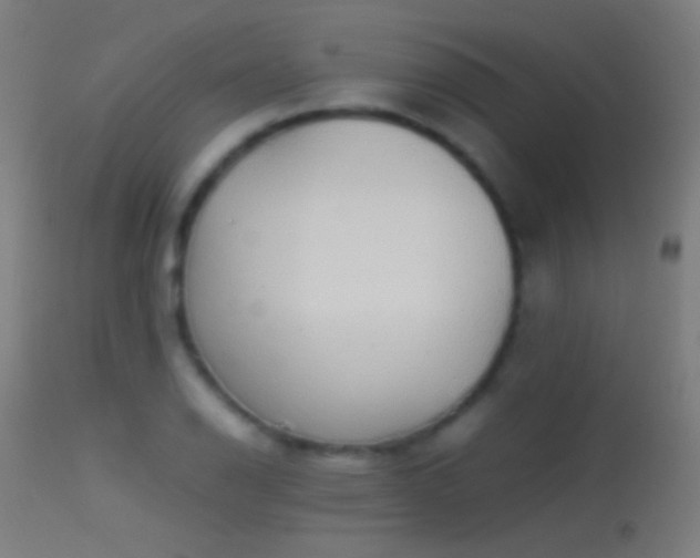 X0000114171126200910151631