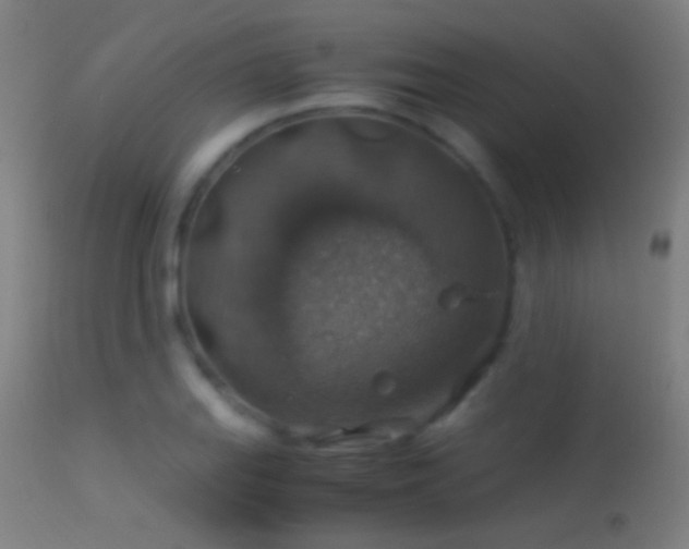 X0000114171127200910151631