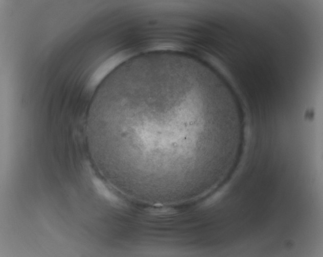 X0000114171129200910151631