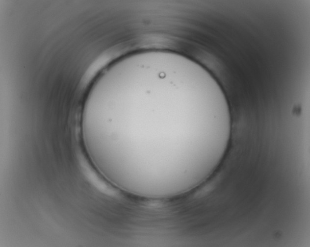 X0000114171130200910151631