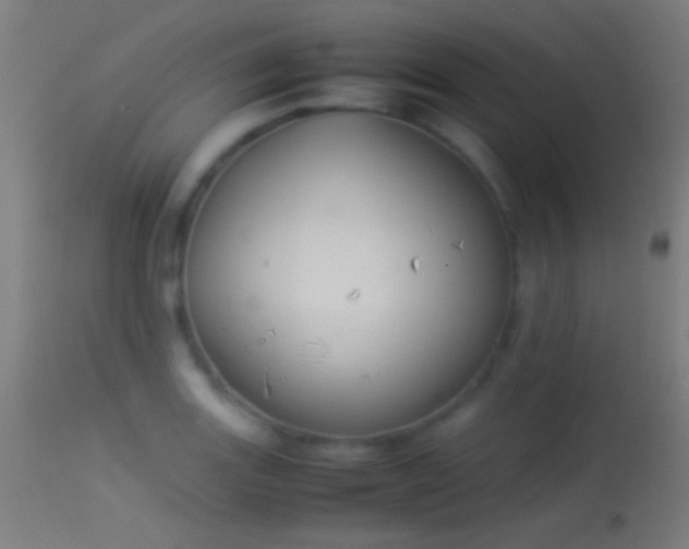 X0000114171131200910151631