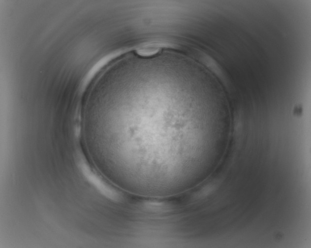 X0000114171132200910151631