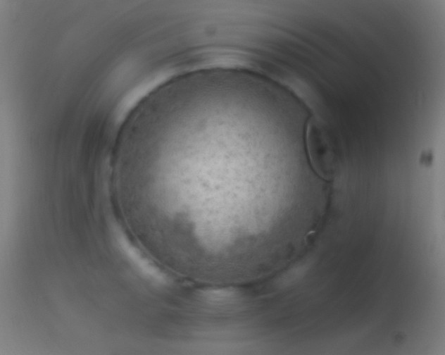 X0000114171134200910151631