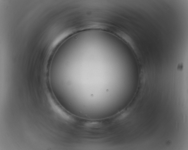 X0000114171135200910151631