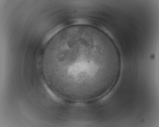 X0000114171137200910151631