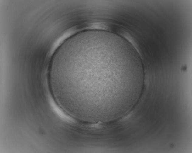 X0000114171139200910151631