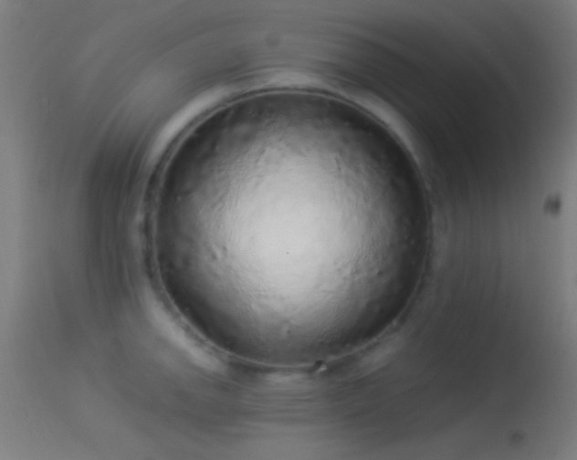 X0000114171142200910151631