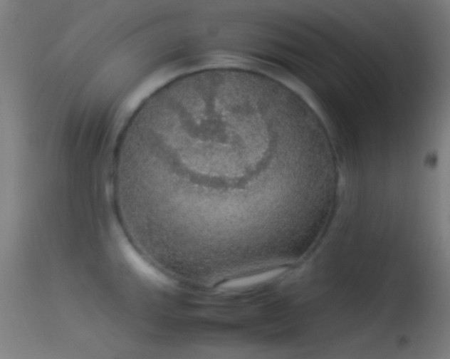 X0000114171143200910151631