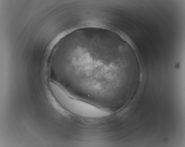 X0000114171144200910151631