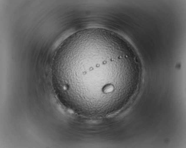X0000114171145200910151631