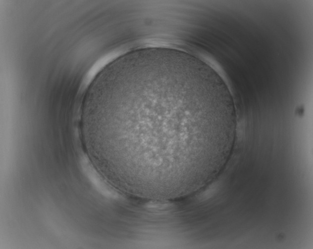 X0000114171146200910151631