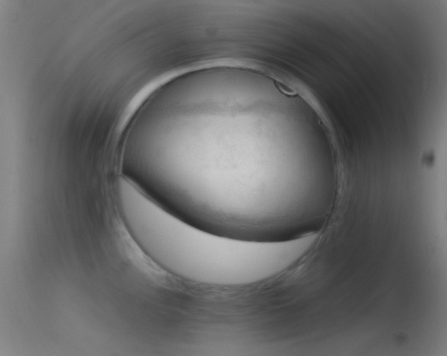 X0000114171148200910151631