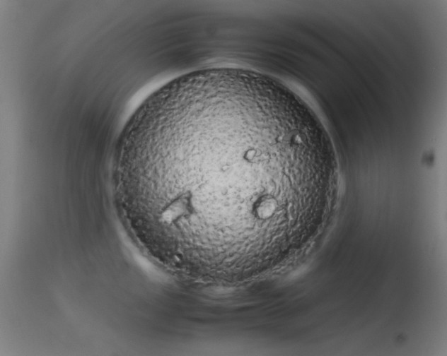X0000114171149200910151631