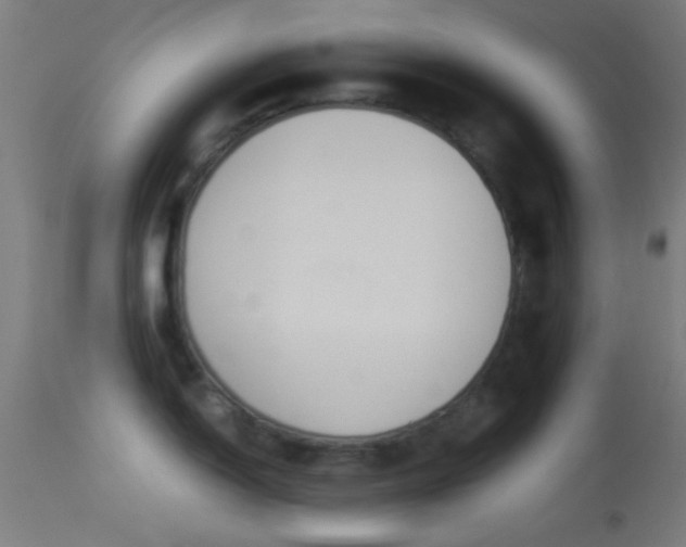 X0000114171150200910151631