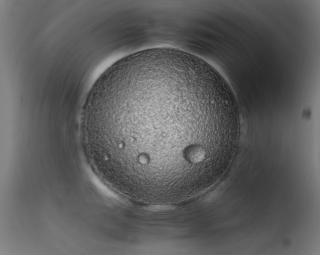 X0000114171151200910151631