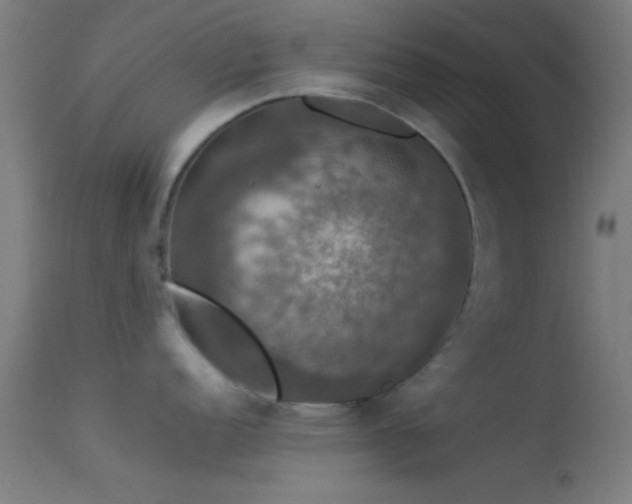 X0000114171152200910151631