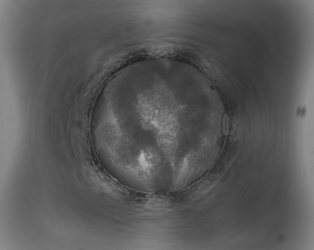 X0000114171153200910151630