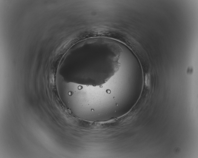 X0000114171155200910151630
