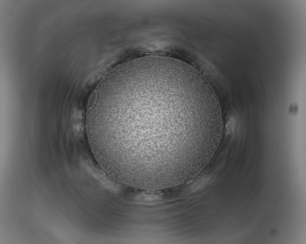X0000114171156200910151630
