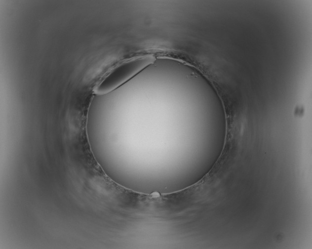 X0000114171157200910151630