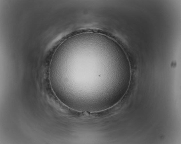 X0000114171159200910151630
