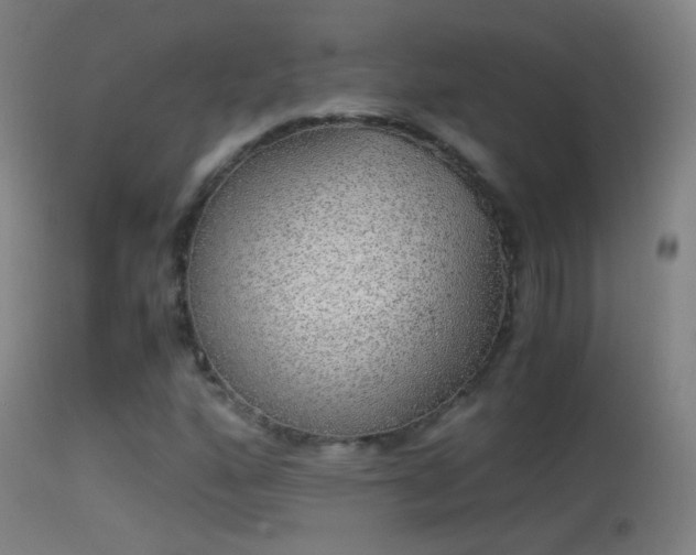 X0000114171160200910151630