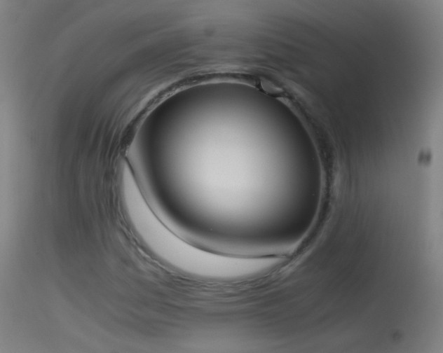 X0000114171161200910151630