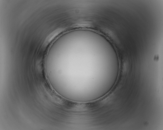 X0000114171162200910151630