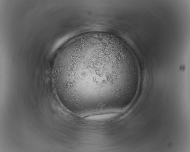 X0000114171163200910151630