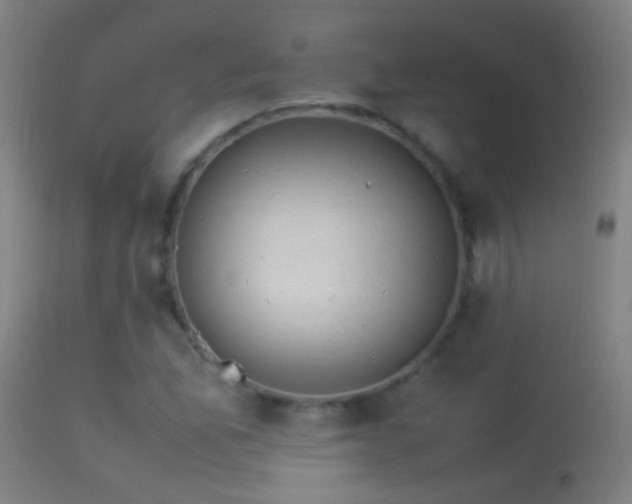 X0000114171165200910151630