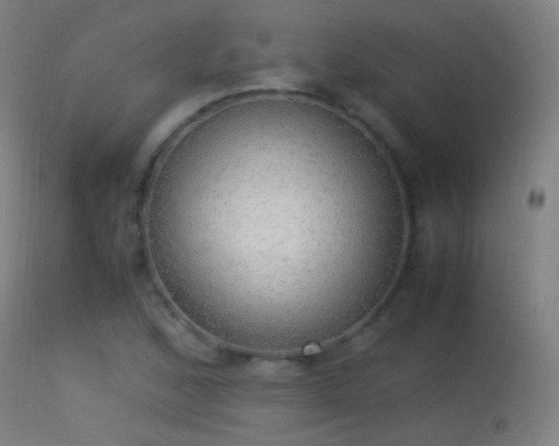 X0000114171168200910151630